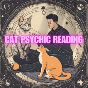 Cats Reading