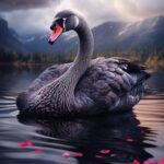 Black Swan Spirit Companion