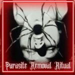 Parasite Removal Ritual