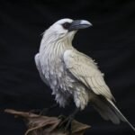 White Raven Spirit Companion