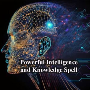 High Intelligence Spell